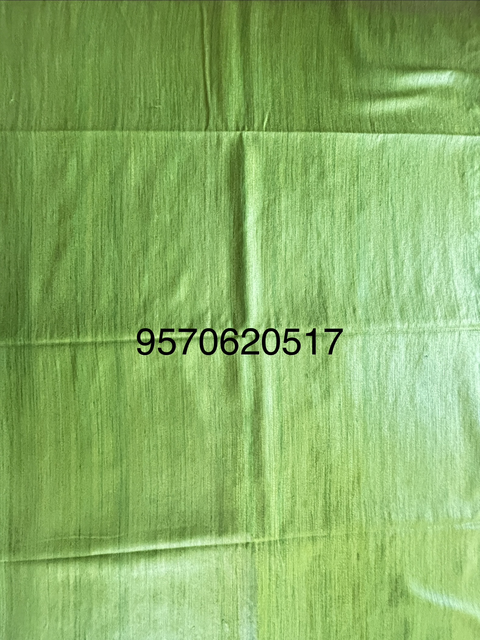 Pure Silk Tussar Ghicha Saree with Woven Zari Border - Image 5