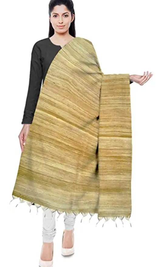 Handwoven Tussar Ghicha Silk Dupatta