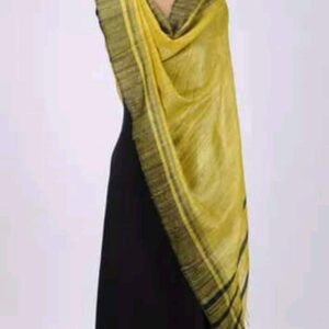 Handwoven Tussar Ghicha Silk Dupatta