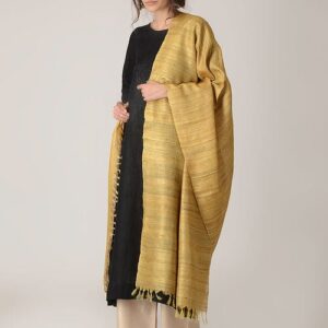 Handwoven Tussar Ghicha Silk Dupatta
